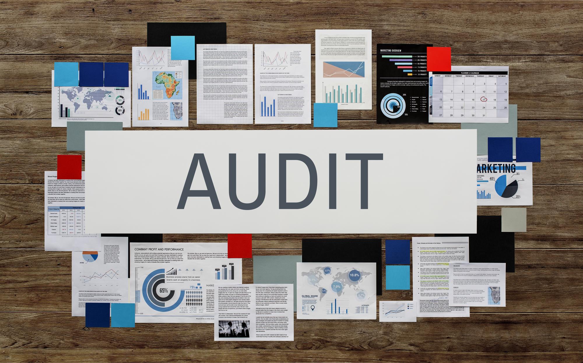 Performance Audits